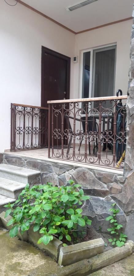 Ira & Vaso'S Guest House Borjomipark ภายนอก รูปภาพ