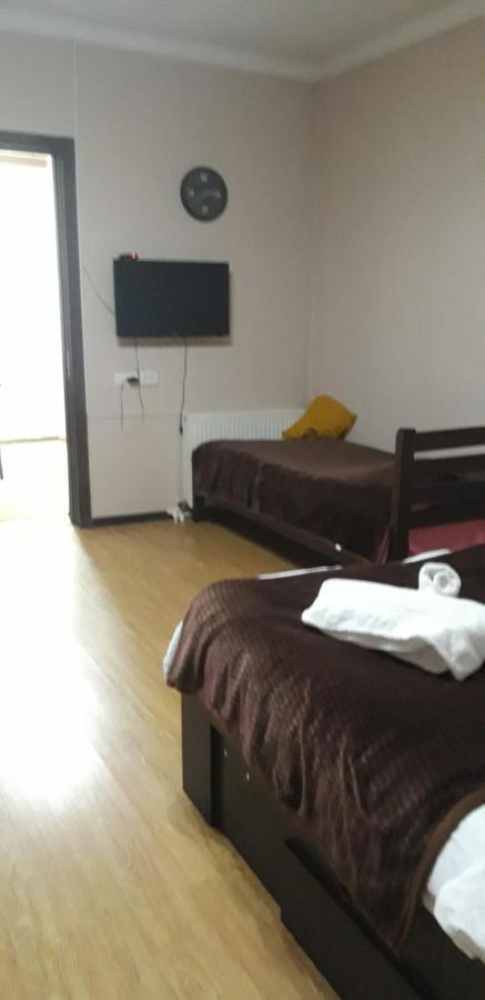Ira & Vaso'S Guest House Borjomipark ภายนอก รูปภาพ
