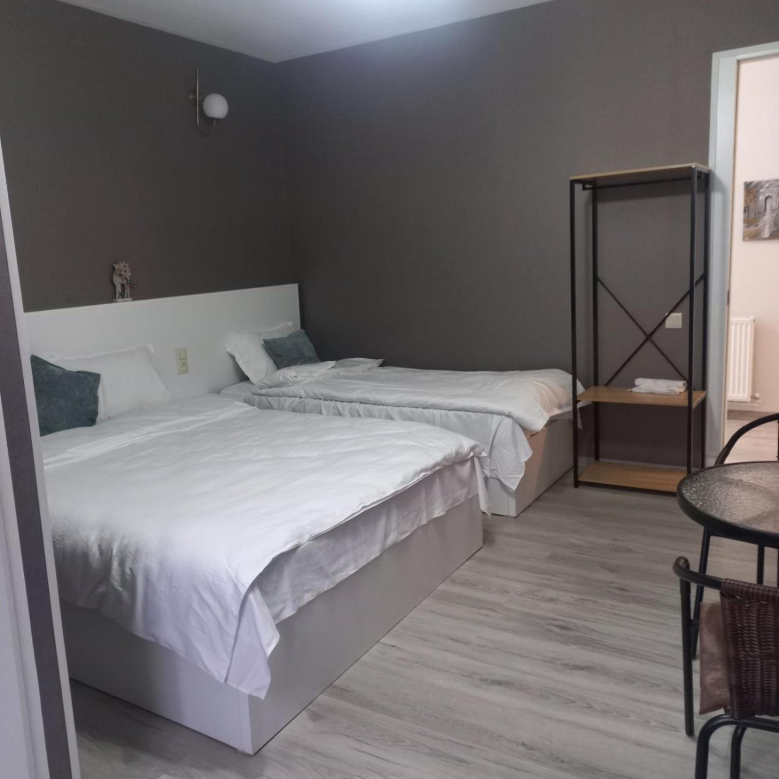 Ira & Vaso'S Guest House Borjomipark ห้อง รูปภาพ